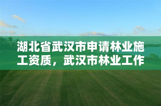 湖北省武汉市申请林业施工资质，武汉市林业工作站