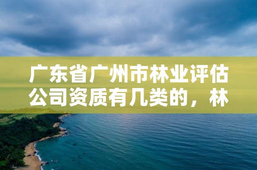广东省广州市林业评估公司资质有几类的，林业评估咨询公司