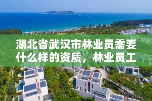 湖北省武汉市林业员需要什么样的资质，林业员工资是多少