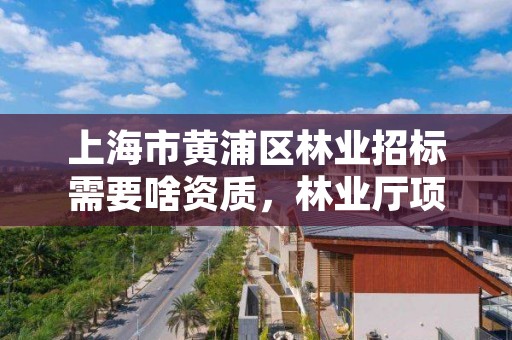 上海市黄浦区林业招标需要啥资质,林业厅项目招标
