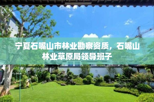 宁夏石嘴山市林业勘察资质,石嘴山林业草原局领导班子