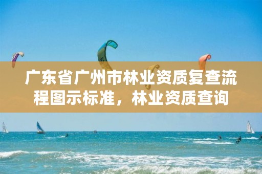 广东省广州市林业资质复查流程图示标准，林业资质查询