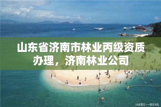 山东省济南市林业丙级资质办理,济南林业公司