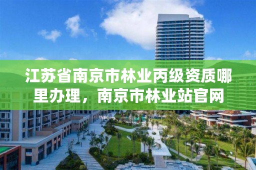 江苏省南京市林业丙级资质哪里办理，南京市林业站官网