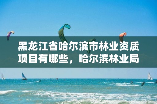 黑龙江省哈尔滨市林业资质项目有哪些,哈尔滨林业局管辖范围