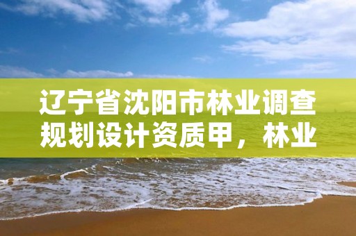 辽宁省沈阳市林业调查规划设计资质甲,林业调查规划设计资质查询