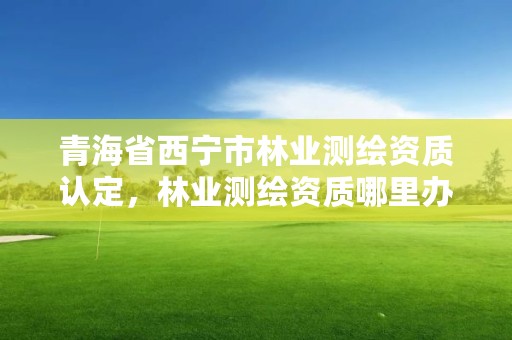青海省西宁市林业测绘资质认定，林业测绘资质哪里办理