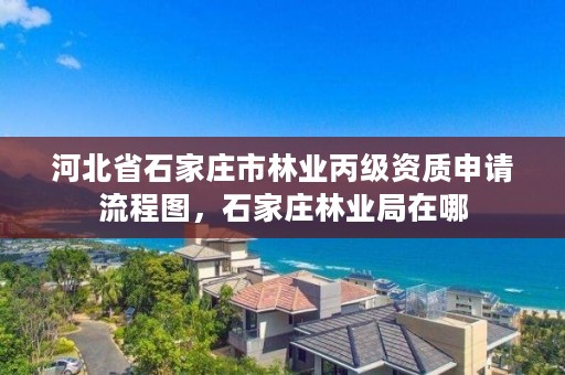 河北省石家庄市林业丙级资质申请流程图,石家庄林业局在哪