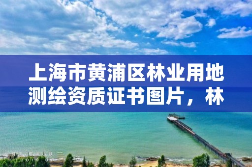 上海市黄浦区林业用地测绘资质证书图片,林业局测绘项目