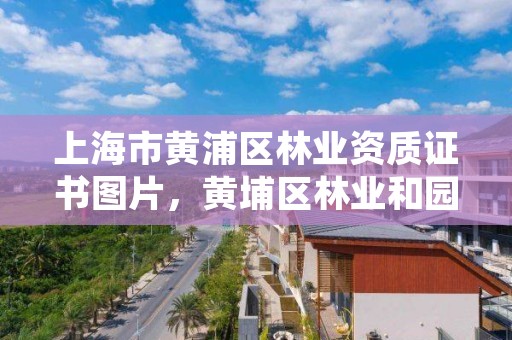 上海市黄浦区林业资质证书图片,黄埔区林业和园林局