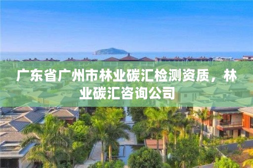 广东省广州市林业碳汇检测资质，林业碳汇咨询公司