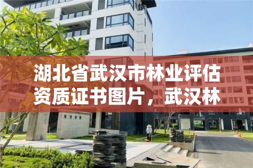 湖北省武汉市林业评估资质证书图片，武汉林业厅