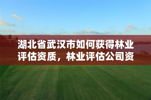 湖北省武汉市如何获得林业评估资质，林业评估公司资质有几类