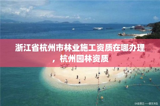 浙江省杭州市林业施工资质在哪办理,杭州园林资质