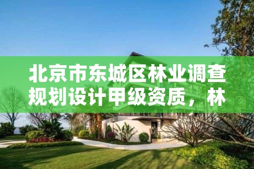 北京市东城区林业调查规划设计甲级资质,林业调查规划设计甲级公司