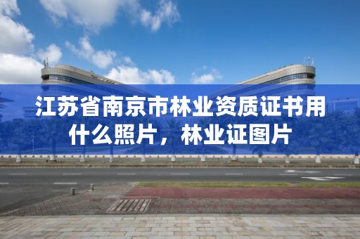 江苏省南京市林业资质证书用什么照片，林业证图片