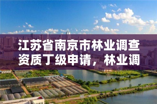 江苏省南京市林业调查资质丁级申请,林业调查丙级资质办理需要条件