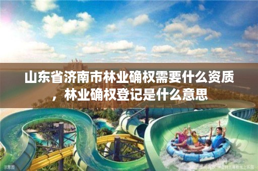 山东省济南市林业确权需要什么资质,林业确权登记是什么意思