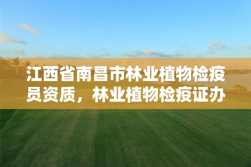 江西省南昌市林业植物检疫员资质,林业植物检疫证办理指南