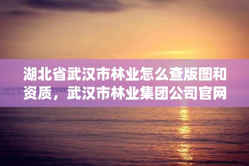 湖北省武汉市林业怎么查版图和资质，武汉市林业集团公司官网