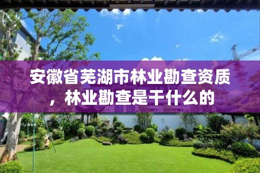 安徽省芜湖市林业勘查资质,林业勘查是干什么的