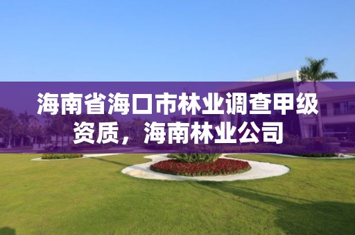 海南省海口市林业调查甲级资质,海南林业公司