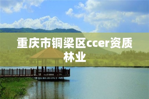 重庆市铜梁区ccer资质林业