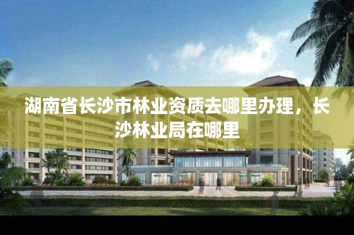 湖南省长沙市林业资质去哪里办理，长沙林业局在哪里