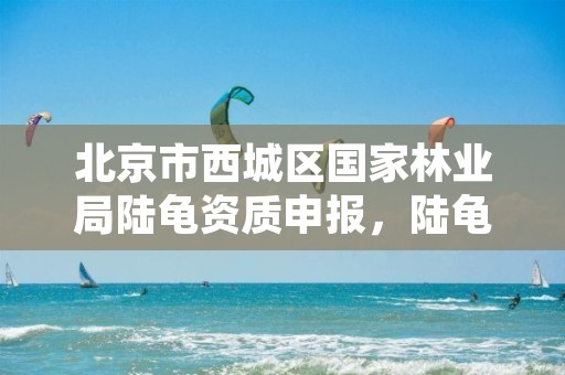 北京市西城区国家林业局陆龟资质申报，陆龟主动上交林业局