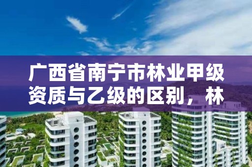 广西省南宁市林业甲级资质与乙级的区别,林业资质证书丙级