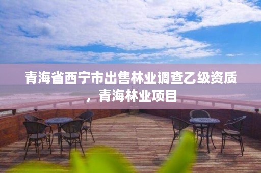 青海省西宁市出售林业调查乙级资质，青海林业项目