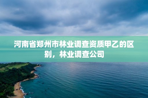 河南省郑州市林业调查资质甲乙的区别,林业调查公司