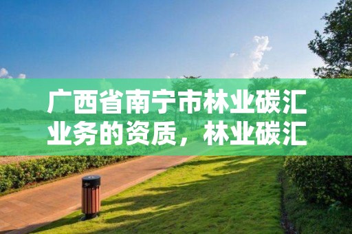 广西省南宁市林业碳汇业务的资质,林业碳汇资源项目开发的公司