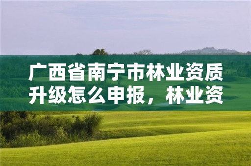 广西省南宁市林业资质升级怎么申报,林业资质证书怎么办理?