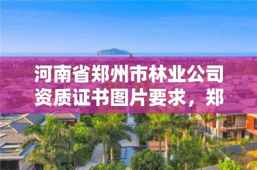 河南省郑州市林业公司资质证书图片要求,郑州市林业产业中心