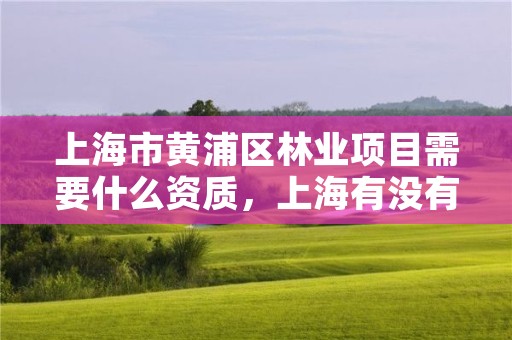 上海市黄浦区林业项目需要什么资质,上海有没有林业局