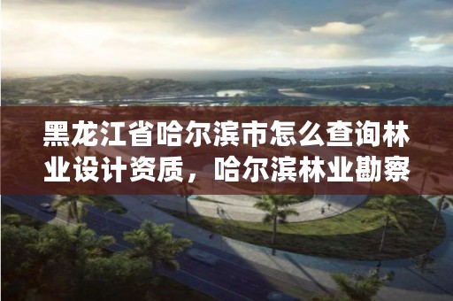 黑龙江省哈尔滨市怎么查询林业设计资质,哈尔滨林业勘察设计院