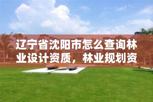 辽宁省沈阳市怎么查询林业设计资质,林业规划资质查询