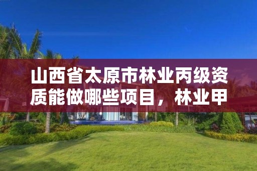 山西省太原市林业丙级资质能做哪些项目,林业甲级资质