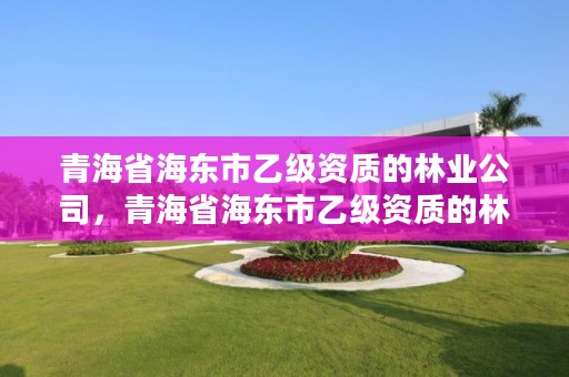 青海省海东市乙级资质的林业公司,青海省海东市乙级资质的林业公司有几家