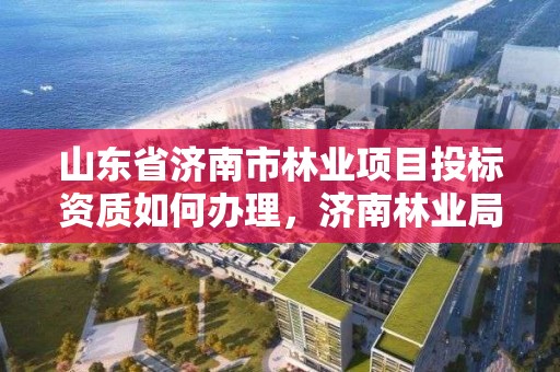 山东省济南市林业项目投标资质如何办理,济南林业局电话