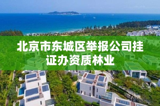 北京市东城区举报公司挂证办资质林业