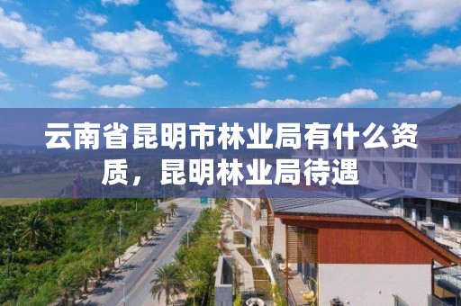 云南省昆明市林业局有什么资质，昆明林业局待遇