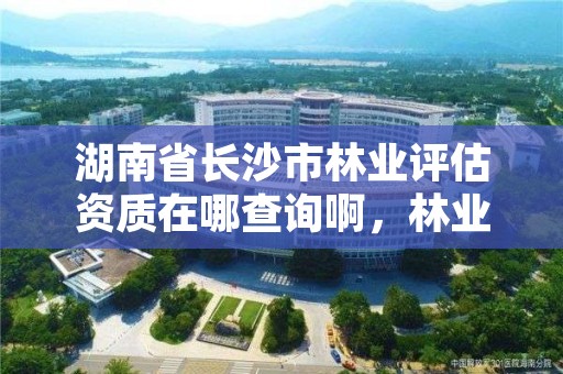 湖南省长沙市林业评估资质在哪查询啊，林业评估公司资质