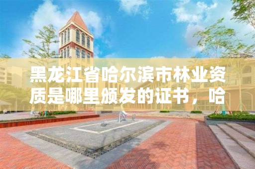 黑龙江省哈尔滨市林业资质是哪里颁发的证书,哈尔滨林业局电话号码