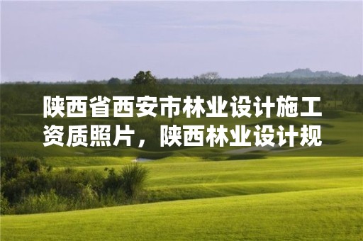陕西省西安市林业设计施工资质照片,陕西林业设计规划院