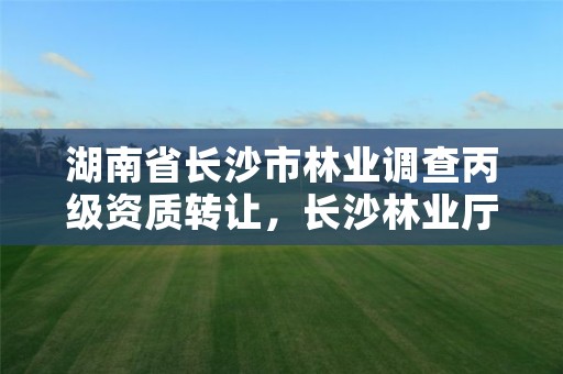 湖南省长沙市林业调查丙级资质转让,长沙林业厅地址
