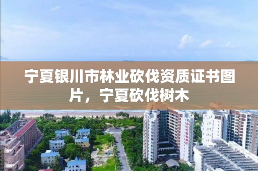 宁夏银川市林业砍伐资质证书图片,宁夏砍伐树木