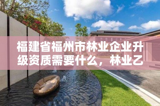 福建省福州市林业企业升级资质需要什么，林业乙级资质办理条件