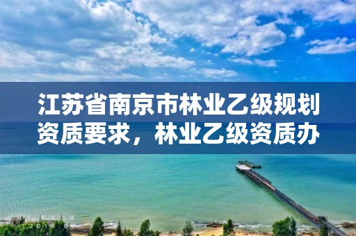 江苏省南京市林业乙级规划资质要求，林业乙级资质办理条件
